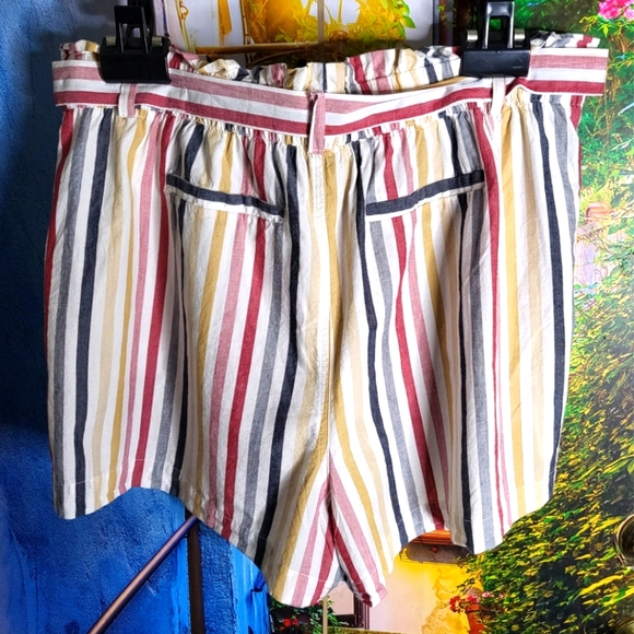 Forever 21 - Plus Size - Multicolor Striped Shorts - Picture 4 of 4